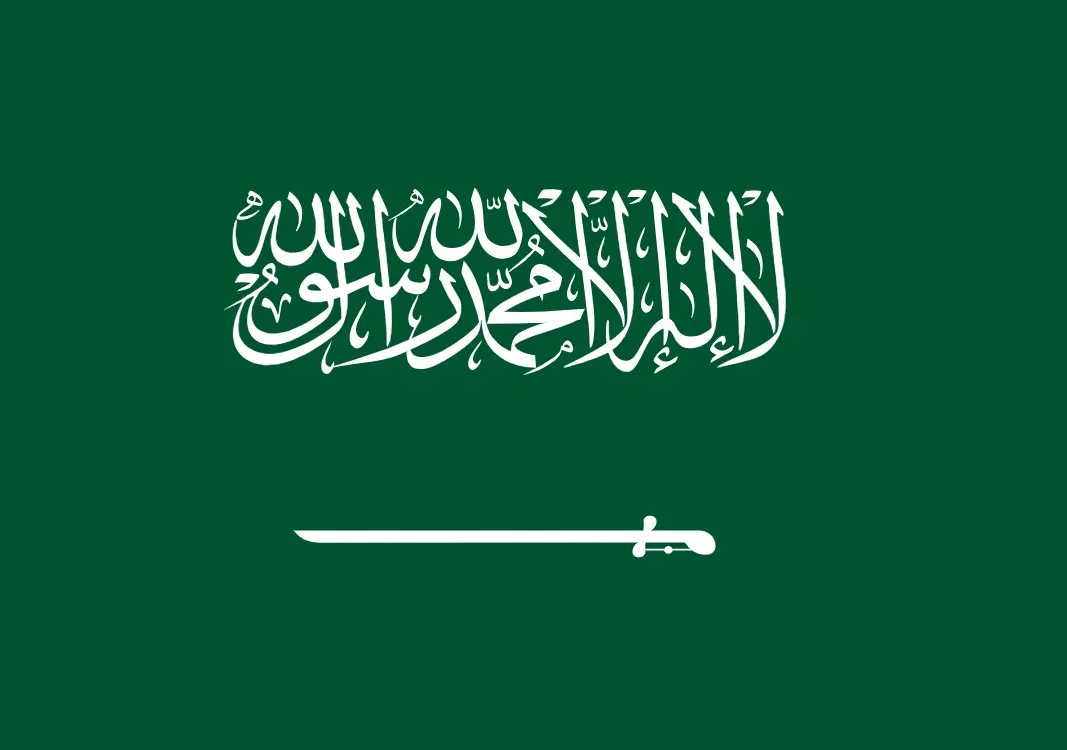 دكتور / يحيي العايل